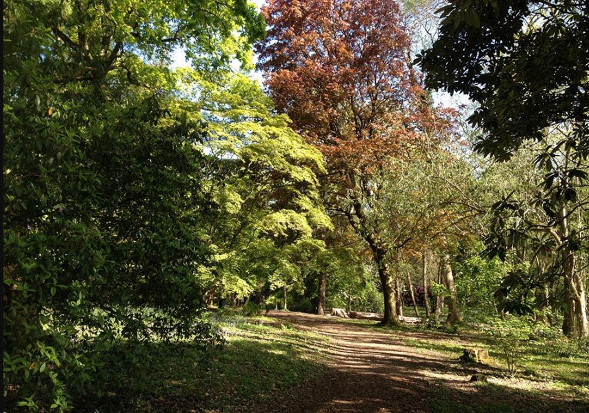 Parc Cefn Onn, United Kingdom